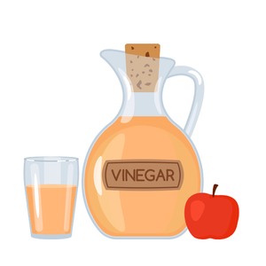 Apple Cider Vinegar Powder