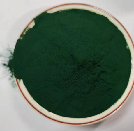 Spirulina.jpg